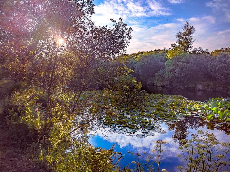 Trecombe Lakes Camborne Esterno foto