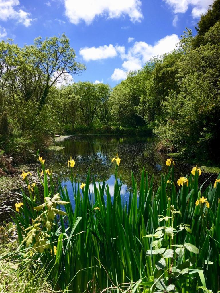 Trecombe Lakes Camborne Camera foto