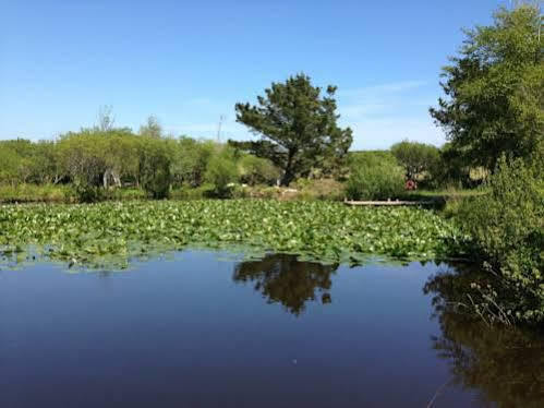Trecombe Lakes Camborne Esterno foto